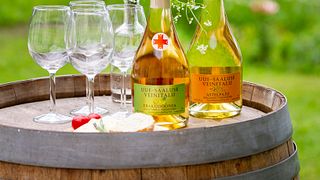 Uue-Saaluse Winery