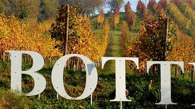Cata de vinos y recorrido en AV Botti di Botti Enrico