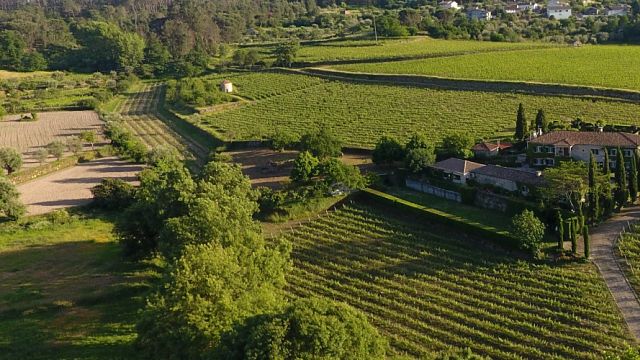 Degustação de vinhos premium na Soito Wines