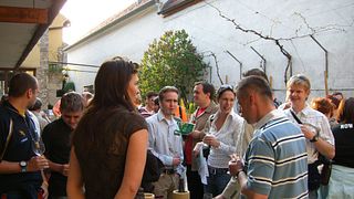 Dégustation de vins et visite au Weingut Peter Schandl