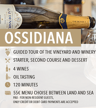Enjoy Etna Wines with a Light Lunch