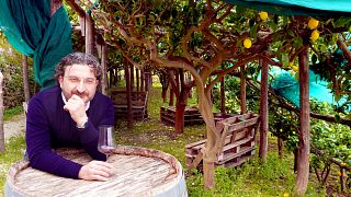 Cilento Wine Tour with professional sommelier