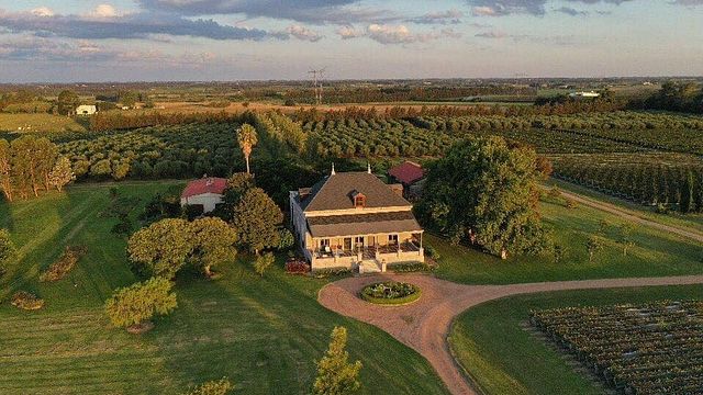 Cata y visita de vinos en Bodega Familia Deicas