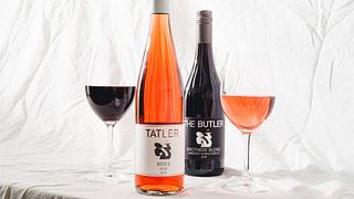 Cata de vinos populares en Tatler Wines