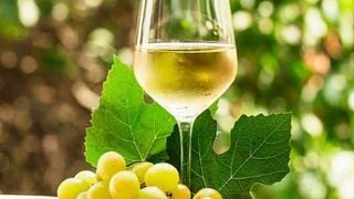 Albariño vintur och gastronomi