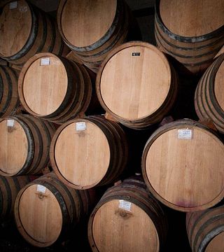 Degustazione di vini e tour presso Adega Cooperativa De Palmela