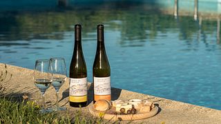Vinho Verde Tasting at Quinta De Lourosa