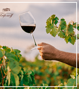 Découverte des vins du Domaine Trifonoff : Visite et dégustation
