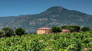 Bodegas Y Viñedos Valleyglesias