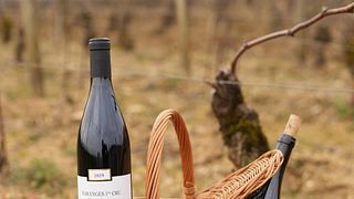 Visita guidata nel vigneto, visita della tenuta e degustazione al Domaine Duchemin