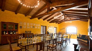 Weinprobe und Tour bei Bricco Maiolica
