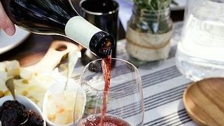 Degustazione di vini e visita alla Bodega Hacienda Molleda