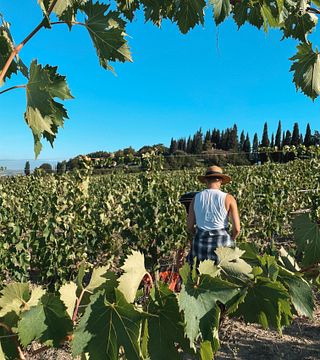 Tour de vinhos e almoço leve no Cosimo Maria Masini