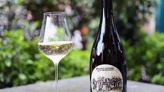 Cata de vinos premium en Didgori Winemaking
