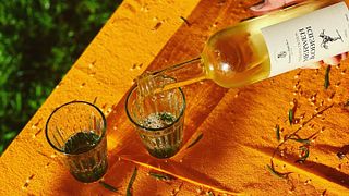 Degustazione di vini e tour al Domaine des Tourelles