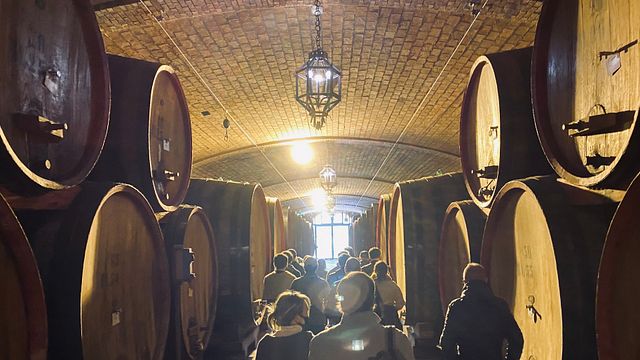 Poliziana vinprovning på Vecchia Cantina Di Montepulciano