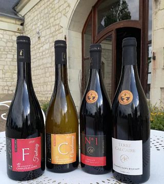 Loire Valley Vineyard Tour & Premium Wine Tasting