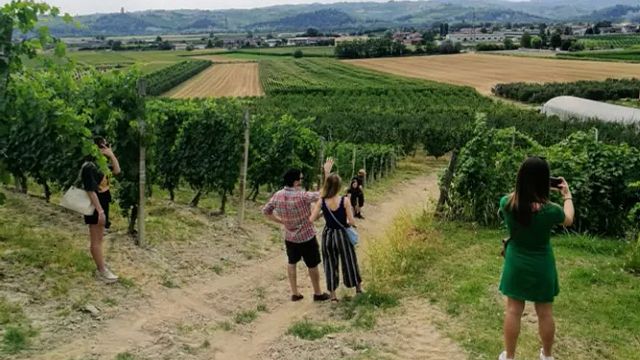 Borgogno Rivata Winery