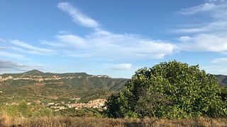 Weinbergtour und Weinprobe bei Gritelles