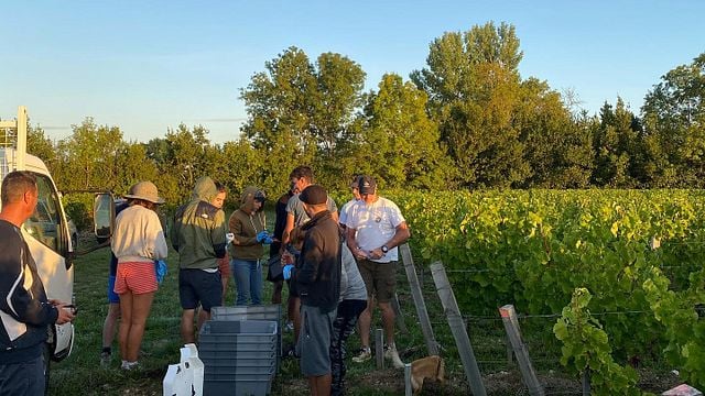 Château Doyac: A Gem in Bordeaux