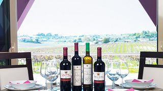 Weinprobe und Tour im Quinta Monteiro De Matos