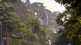 Visite exclusive, dégustation de vins avec accord jambon-fromage | Vignobles Feray