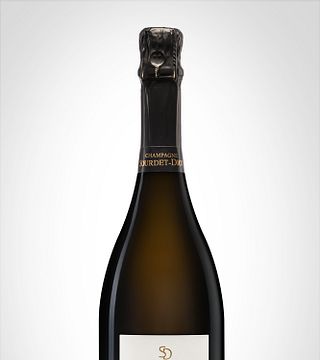 Cata de vinos y visita a Champagne Sourdet-Diot