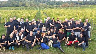 Unforgettable Wine Tasting at Georg Breuer