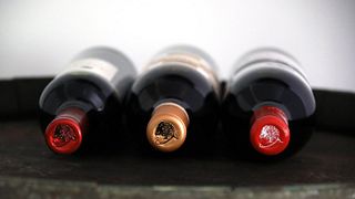 Weintour und Weinprobe bei Bodegas Aragonesas