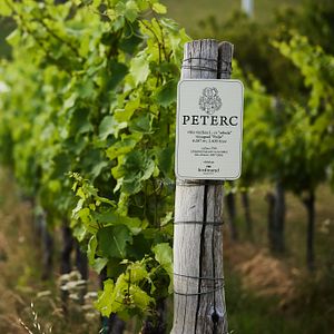 Villa de lujo de uso exclusivo-Peterc Vineyard Estate