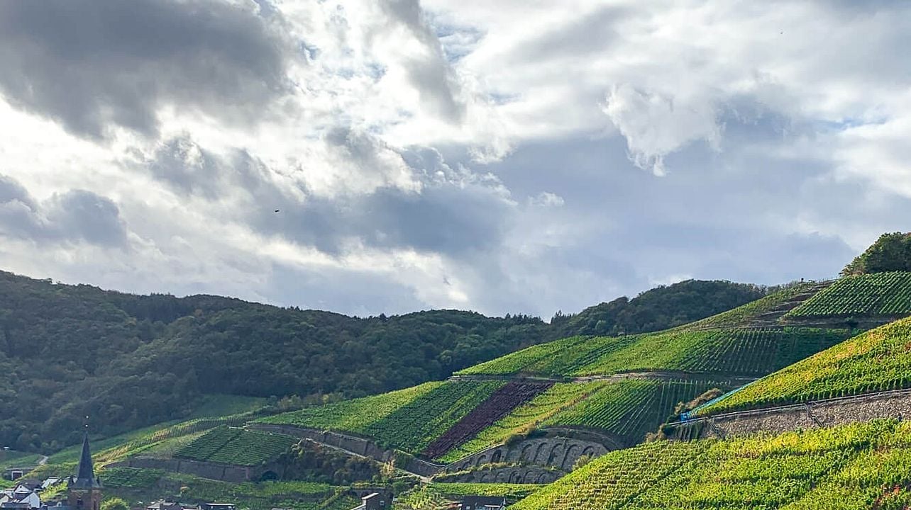 Grape Escape - Ahr Valley to discover German Pinot Noir