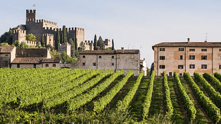 Fernando Tasciotti, specialist of Italian traditional food and wine