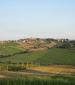 Degustação de vinhos e tour na Tenuta San Marcello
