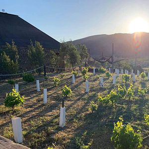 Dégustation de vins et visite du Clos De Tres Cantos