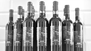 Southern Estonia Wine Craft & Tasting at Veinimäe