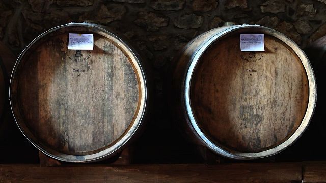 Cata de vinos y visita a la bodega Murogrosso