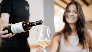 Dégustation de trois vins et visite à Blanca Terra