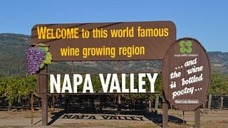 Degustação de vinhos e tour em Sill Family Vineyards