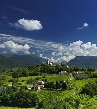 Discover Veneto Wines on an Underground Cellar Tour