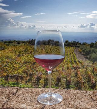 Cata de vinos del Etna recién sacados de la caja | Podere Dell'Etna Segreta