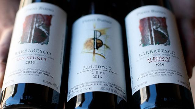 Degustação de vinhos e tour no Az.Agr. Piero Busso