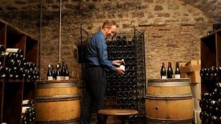 Clase temática de cata de vinos de Borgoña de dos horas en bodegas del siglo XVI