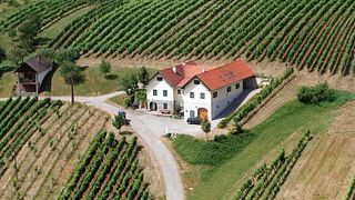 Degustação de vinhos e tour em Weingut Grosz
