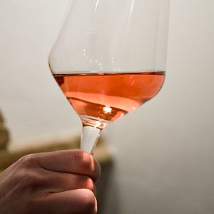 Visita e degustação de vinhos com produtos locais no D'Erasmo Vini com pernoite