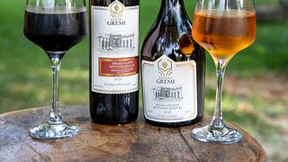 Dégustation de vins et visite de la cave Gremi
