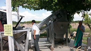 Degustação de vinhos e tour na Viña El Cerno
