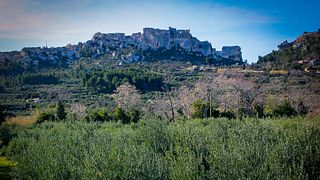 I borghi medievali di Les Baux de Provence, l'esperienza immersiva di Carrières de Lumière, la cultura di Saint Rémy de Provence, il cibo e l'olio d'oliva e i sapori dei vini Domaine de la Vallongue.