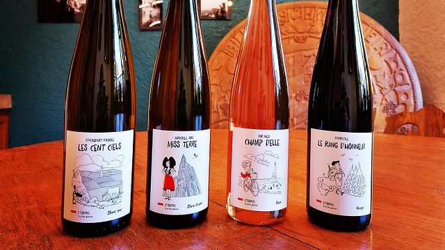  Visita della cantina e degustazione presso Domaine François Meyer