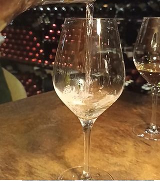 Dégustation de vins en Côte de Provence