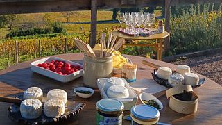 Vin- och ostprovning i vingårdsstugans tomt på Vincent Grall Vigneron